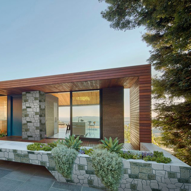 Natural stone turtle series 2 case